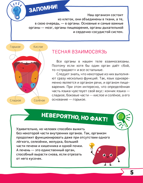 Изображение товара Энциклопедия АСТ Большая энциклопедия дошкольника с дополненной реальностью (твердая обложка)
