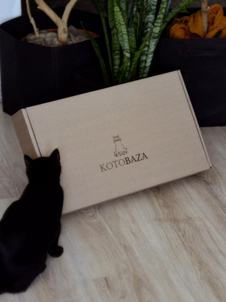 Изображение товара Когтеточка Grifeldecor Kotobaza Скоба (черный)