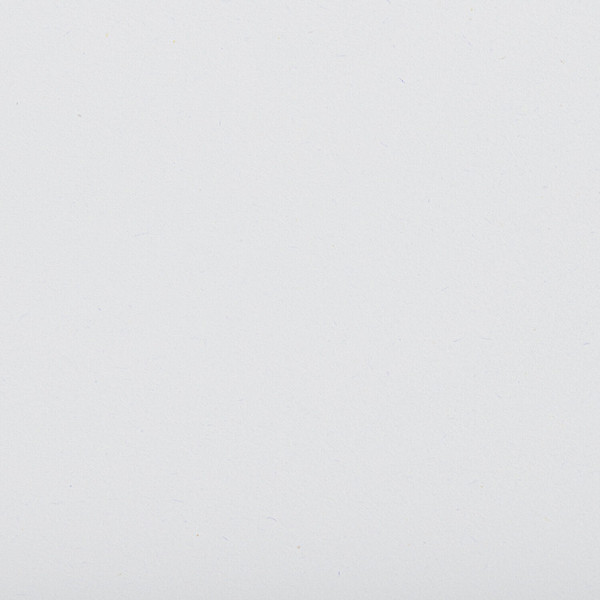 Изображение товара Альбом для рисования Brauberg Тигр / 105610