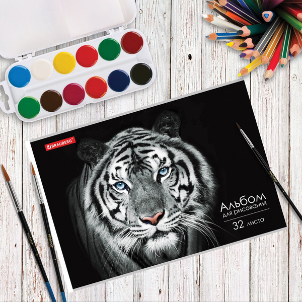 Изображение товара Альбом для рисования Brauberg Тигр / 105610