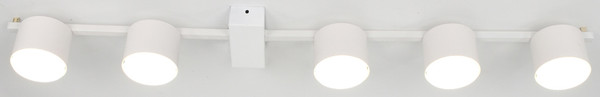 Изображение товара Люстра General Lighting GCHL-5GX53-M / 662339