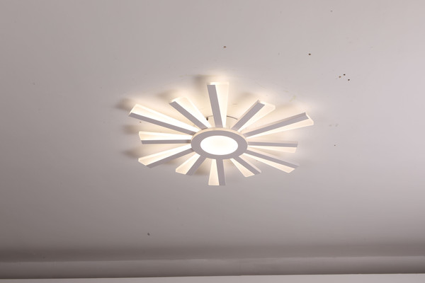 Изображение товара Люстра Sundays Home LED C23031T