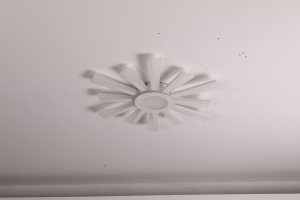 Изображение товара Люстра Sundays Home LED C23031T