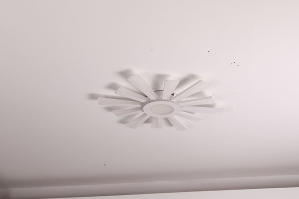 Изображение товара Люстра Sundays Home LED C23031T