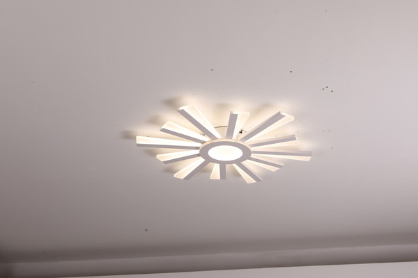 Изображение товара Люстра Sundays Home LED C23031T