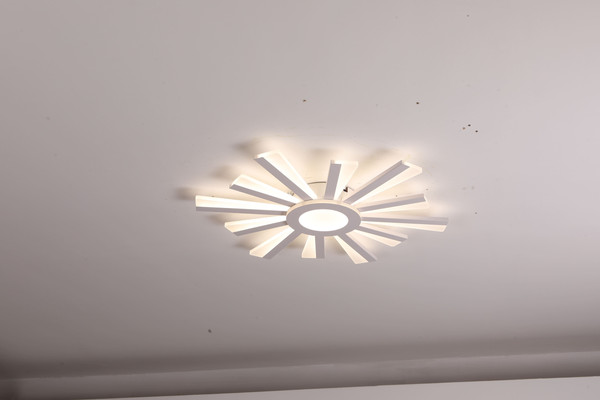 Изображение товара Люстра Sundays Home LED C23031T