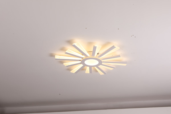 Изображение товара Люстра Sundays Home LED C23031T