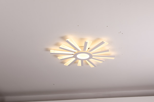 Изображение товара Люстра Sundays Home LED C23031T