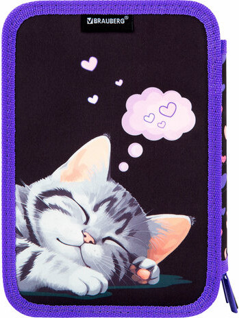 Изображение товара Пенал Brauberg Sleeping Kitten / 273538