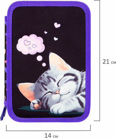 Изображение товара Пенал Brauberg Sleeping Kitten / 273538