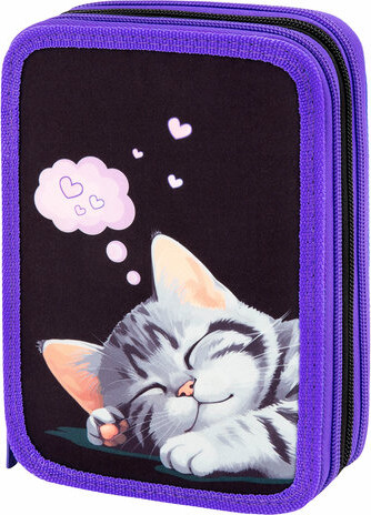Изображение товара Пенал Brauberg Sleeping Kitten / 273538