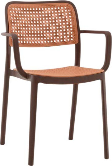 Изображение товара Стул пластиковый Stool Group Yona с подлокотниками / PP-297 (коричневый)
