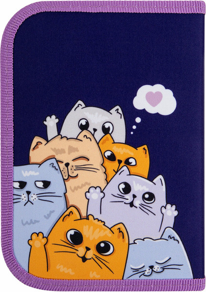 Изображение товара Пенал Пифагор Cats Greetings / 272291