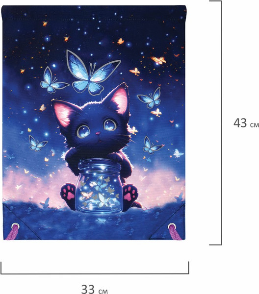 Изображение товара Мешок для обуви Brauberg Premium. Night Catcher / 273442