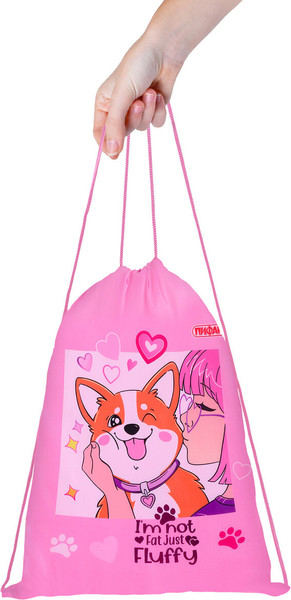 Изображение товара Мешок для обуви Пифагор Fluffy Akita / 272385