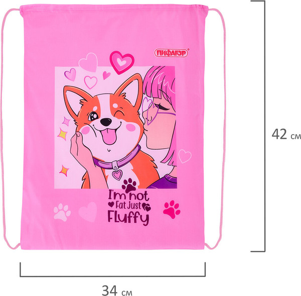 Изображение товара Мешок для обуви Пифагор Fluffy Akita / 272385