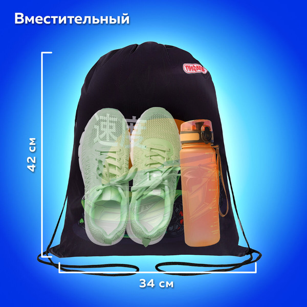 Изображение товара Мешок для обуви Пифагор Dive Into Drive / 272388