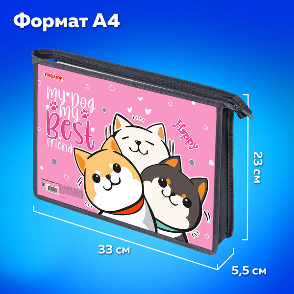 Изображение товара Папка для тетрадей Пифагор Best Team / 272124