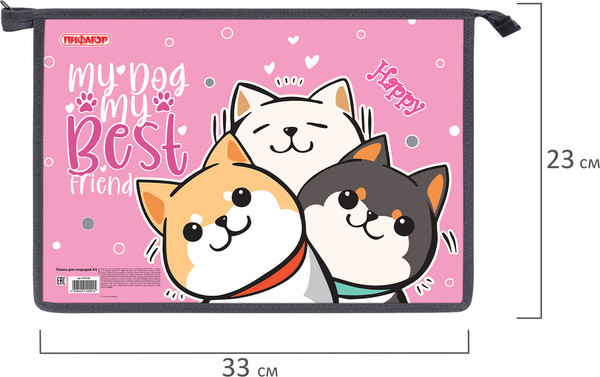 Изображение товара Папка для тетрадей Пифагор Best Team / 272124