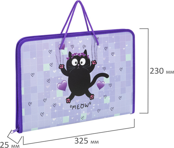 Изображение товара Папка для труда Пифагор Falling Cat / 272226