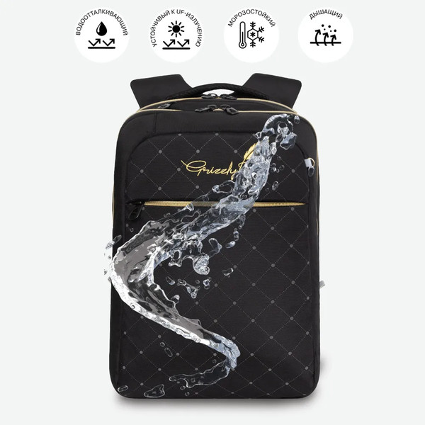 Изображение товара Рюкзак Grizzly RD-544-5 (черный)