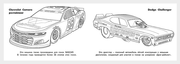 Изображение товара Раскраска Фламинго Гоночные машины, мягкая обложка