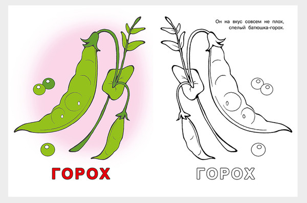 Изображение товара Раскраска Фламинго Посмотри и раскрась. Овощи, мягкая обложка