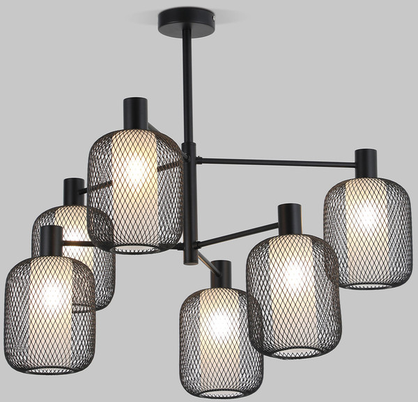 Изображение товара Люстра Евросвет 30191/6 (черный)