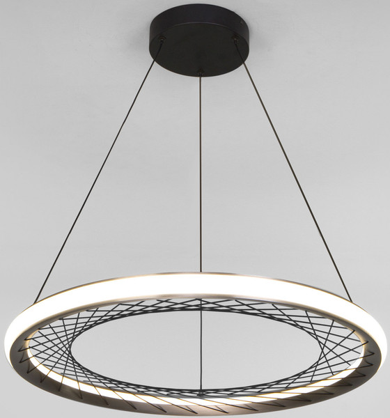 Изображение товара Потолочный светильник Евросвет 40024/1 LED (серый)