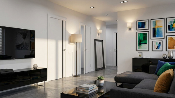 Изображение товара Дверь межкомнатная Юни Эмаль Line 2 70x200 (белый/черный)