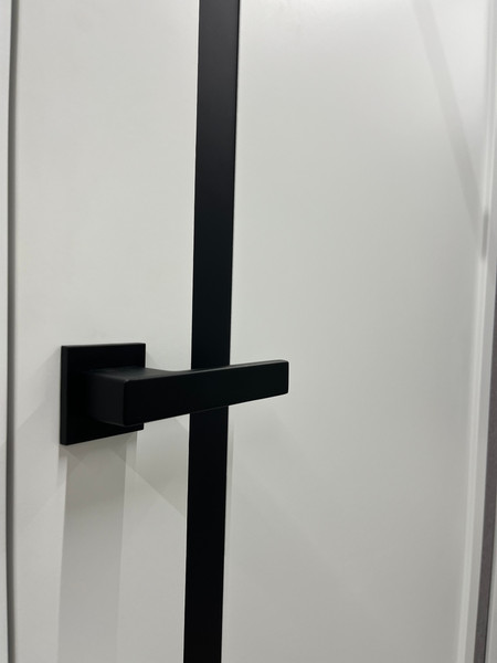 Изображение товара Дверь межкомнатная Юни Эмаль Line 2 80x200 (белый/черный)