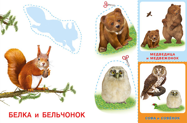 Изображение товара Развивающая книга Фламинго Аппликация и карточки. Лесные звери, мягкая обложка