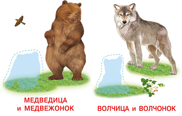 Изображение товара Развивающая книга Фламинго Аппликация и карточки. Лесные звери, мягкая обложка