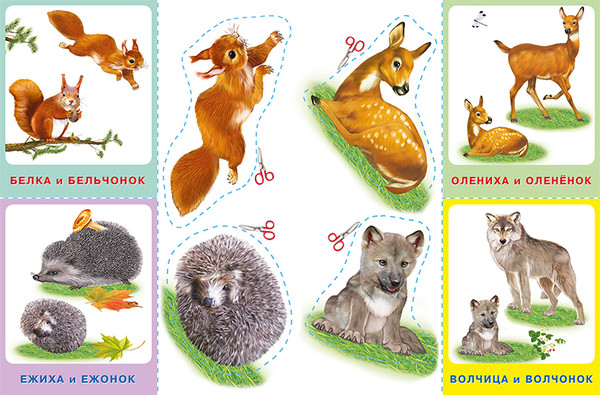 Изображение товара Развивающая книга Фламинго Аппликация и карточки. Лесные звери, мягкая обложка