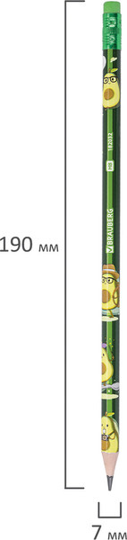 Изображение товара Набор простых карандашей Brauberg Avocado / 182032 (12шт)