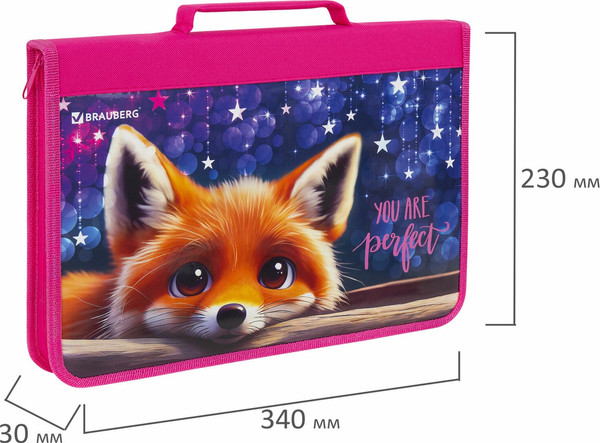 Изображение товара Папка-портфель Brauberg Cute Fox / 272217