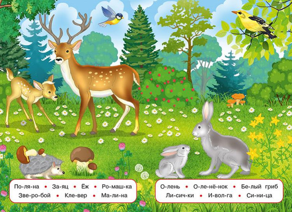 Изображение товара Развивающая книга Фламинго Учимся читать по слогам. В лесу, мягкая обложка