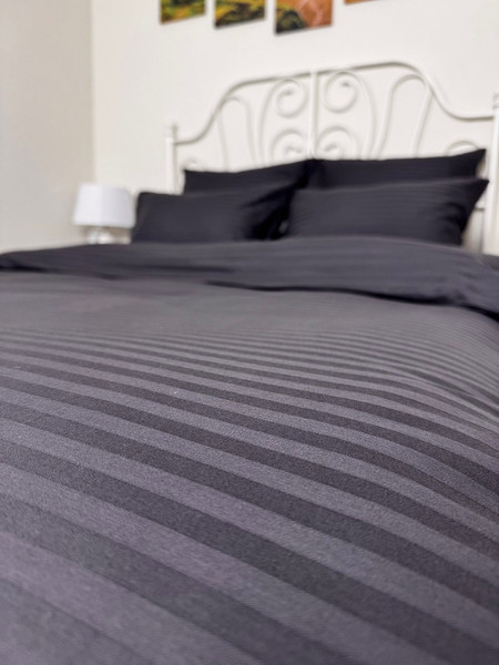 Изображение товара Комплект постельного белья Реноме 2сп Графитовая коллекция Графит Ss-003 (страйп-сатин)