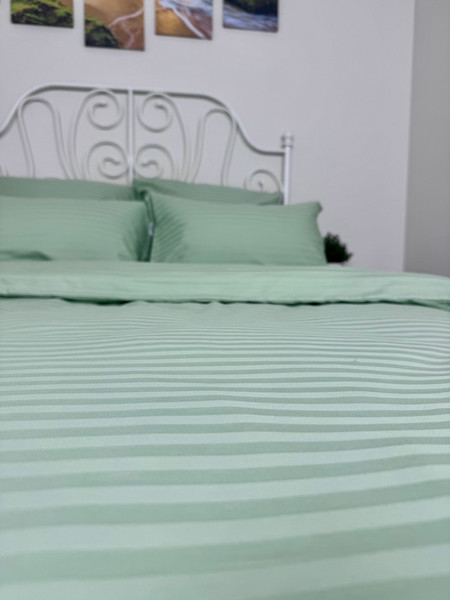 Изображение товара Комплект постельного белья Реноме 2сп Графитовая коллекция Олива Ss-005 (страйп-сатин)