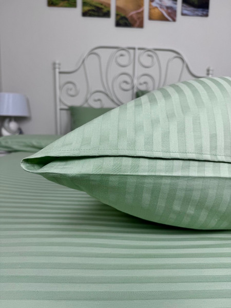 Изображение товара Комплект постельного белья Реноме 2сп Графитовая коллекция Олива Ss-005 (страйп-сатин)