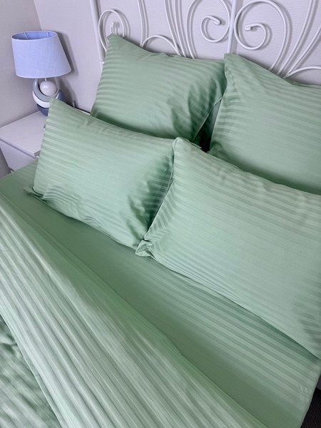 Изображение товара Комплект постельного белья Реноме 2сп Графитовая коллекция Олива Ss-005 (страйп-сатин)