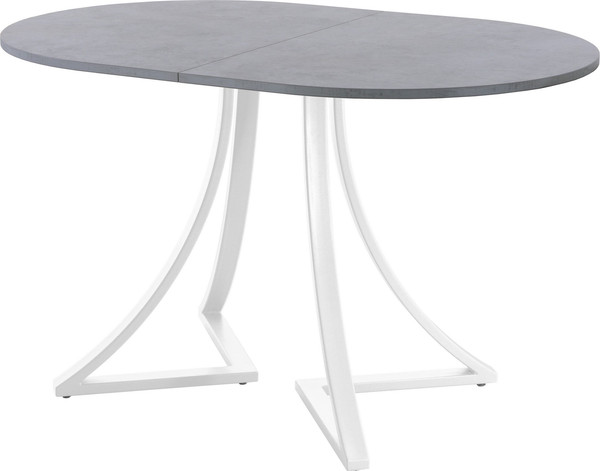 Изображение товара Обеденный стол AMC Elite Е24(1200) D3 (белый/бетон чикаго светло-серый)