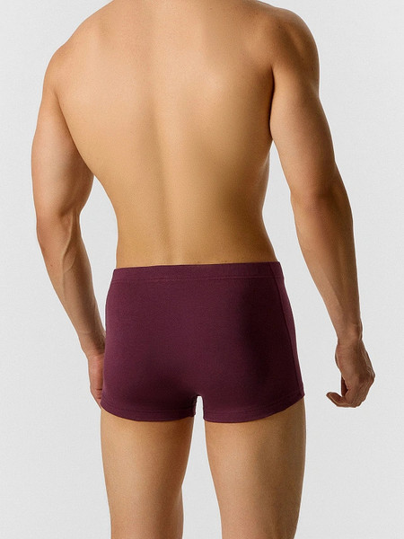 Изображение товара Трусы мужские Mark Formelle 411229 (р.94-104, винный)