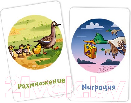 Изображение товара Дополнение к настольной игре Банда Умников Кругозорник Биология / 249200