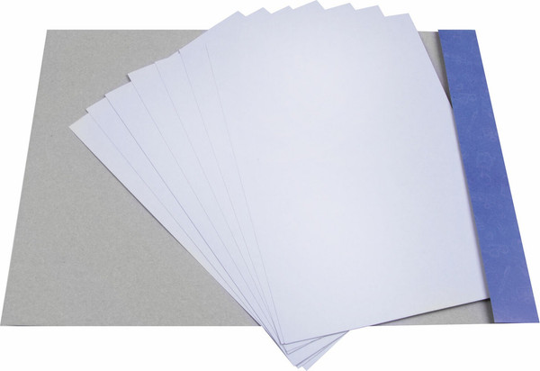 Изображение товара Набор белого картона Пифагор Немелованный Пингвин-рыболов / 129905 (8л)