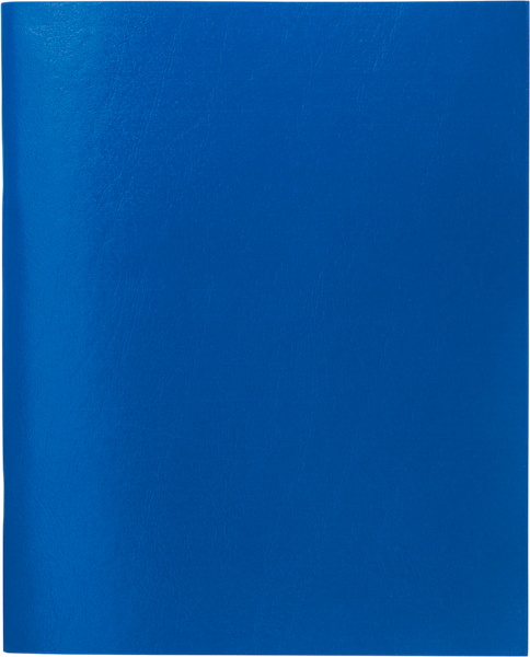 Изображение товара Тетрадь Staff 402019 (96л, синий)