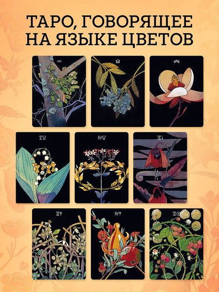 Изображение товара Гадальные карты Бомбора Таро Ботаника / 9785042038839 (Стентон Кевин)