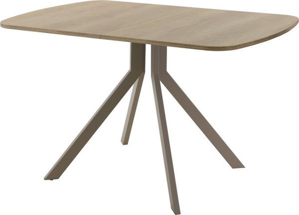 Изображение товара Обеденный стол AMC Elite Е18(1200) D2 (капучино/дуб небраска натур)