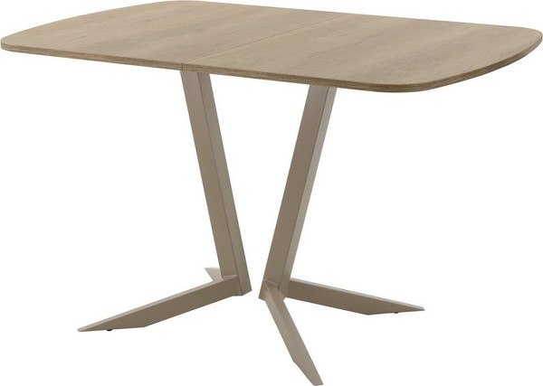 Изображение товара Обеденный стол AMC Elite Е19(1200) D2 (капучино/дуб небраска натур)