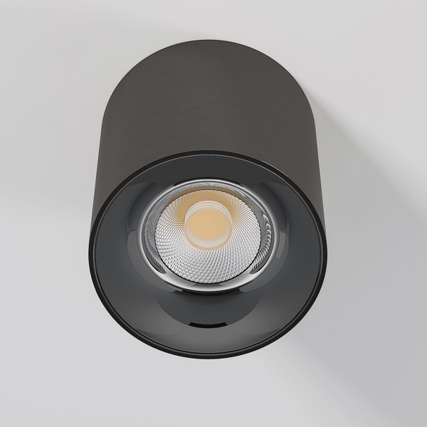 Изображение товара Потолочный светильник Elektrostandard 25116/LED 12W 4000K (титан)